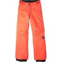 O'Neill Hammer Pants neon orange (12525) 128