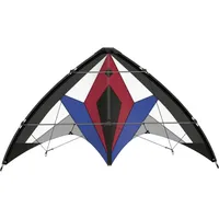 Günther Flexus 150 GX Lenkdrachen