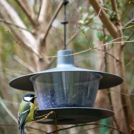 Plastia Vogelfutterhaus Finch