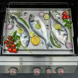 Grillrost.com Das Original Griddle 550 cm x 386 cm rostfrei Silber