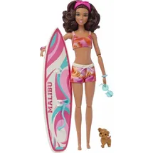 Barbie Surf-Puppe + Accy