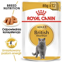 ROYAL CANIN British Shorthair Adult Beutel 12x85g in Soße