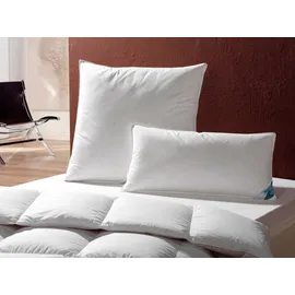 Haeussling 3-Kammer-Kopfkissen »Kuscheltraum, Kissen mit Hausstaub- & Milbenbarriere«, Füllung: Außenkammern mit 60% Daunen, 40% Federn, Bezug: 100% Baumwolle, (1 St.), Kopfkissen 40x80 cm, 80x80cm, Made in Germany weiß