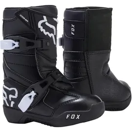 Fox Comp Schwarz 31
