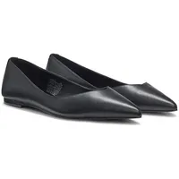 Hugo Maridia LogBall NA