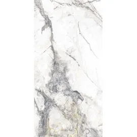 Euro Stone Bodenfliese Feinsteinzeug Caldera Silber 60 x 120 cm