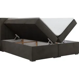 MKS Meble BOXBETT LOPE 160/200 - Dunkelgrau Velvet - H3