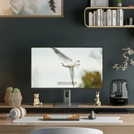 Alogic Clarity Max 32C4KPD 32" schwarz