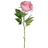 Mica decorations Mica Künstliche Pfingstrose Rosa 76 Cm Deko Pflanze Einzelblume