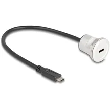 DeLock USB-C 30 m Schwarz/Silber
