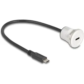 DeLock USB-C 30 m Schwarz/Silber