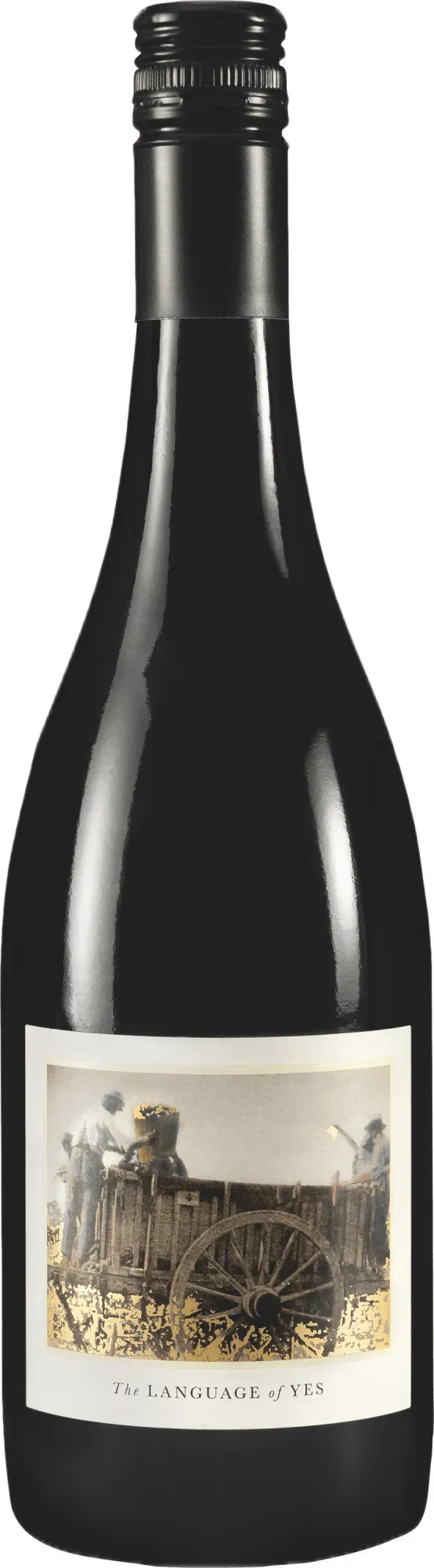 The Language of Yes Syrah