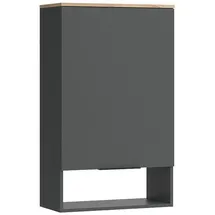 Vicco Hängeschrank Wido Anthrazit, Eiche 60 x 100 cm mit Tür