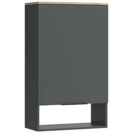Vicco Hängeschrank Wido Anthrazit, Eiche 60 x 100 cm mit Tür