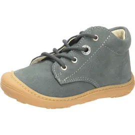 Pepino Cory Grau 23