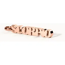 PURELEI Scorpio Letter Charm