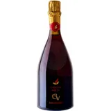 Brut rosso Lambrusco DOC 2018 della Volta 0,75l