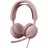 MS Rosa 981-001521