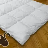 Betty down Classic Daunendecken Warm 135x200 cm 720g