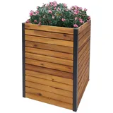 Proregal Pflanzkasten 60 x 42 x 42 cm Braun