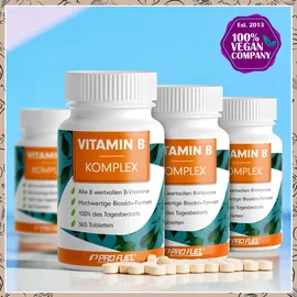 ProFuel Vitamin B Komplex Tabletten 365 St.