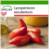 Saflax - Tomate - Cornue des Andes - 10 Samen - Mit keimfreiem Anzuchtsubstrat - Lycopersicon esculentum