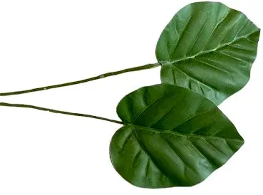 Philo Blatt x2 48cm grün