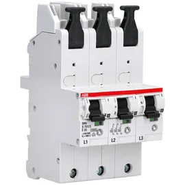 ABB Stotz S&J Hauptsicherungsautomat S751/3-E25