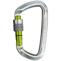 Edelrid Karabiner D-Classic 3000 Screw mit Keylock-Verschluss