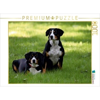 Calvendo Entlebucher Sennenhunde Emma und Luna Puzzle