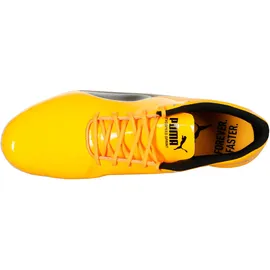 Puma Evospeed Sprint 14,5 Indoor Herren orange/schwarz 47