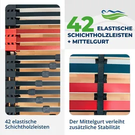 Coemo RELAXANA KF elektrischer Lattenrost 120 x 200 cm