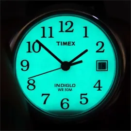 Timex Leder 38 mm TW2P75800