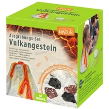 Moses Expedition Natur - Ausgrabungs-Set Vulkangestein