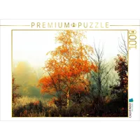 Calvendo Herbst im Pennigbüttelermoor / Teufelsmoor Puzzle