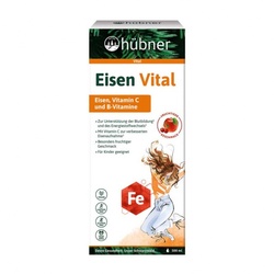 Hübner Eisen Vital 500ml