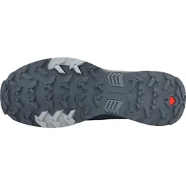 Salomon X Ultra 4 Gore-Tex Herren magnet/black/monument 42 2/3