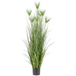 Kunstgras CREATIV GREEN "Zyperngras", grün, H:180cm, Kunststoff, Kunstpflanzen, mit sieben Zyperngrasblüten
