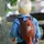 Littlelife Kinder Rucksack 6 Liter Daypack Dinosaurier