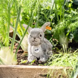 Steiff Dormili Hase