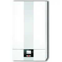 WOLF-Garten CGB-2K-24 24 kW