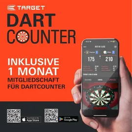 Target Darts Dimitri van den Bergh 95K Steeldarts 23 g