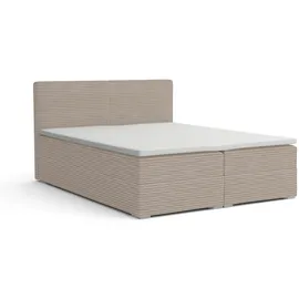 dein schlaf 24 BOXBETT LON III 160/200 in Cord Creme H4 - Creme