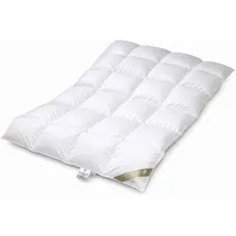 Betten Hofmann Hofmann Luxus Daunenbett Daunendecke Bettdecke 4x6 155x200 cm 100% weiße Daunen