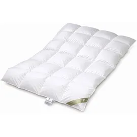 Betten Hofmann Hofmann Luxus Daunenbett Daunendecke Bettdecke 4x6 155x200 cm 100% weiße Daunen