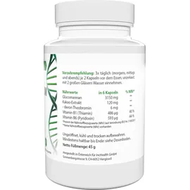 IncHealth GmbH Reduslim Kapseln 60 St.