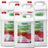 gideli Bioethanol Walderdbeerduft 6 x 5 l