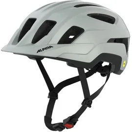 Alpina Paranus MIPS 55-59 cm grau 2025