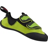 Red Chili Crocy II, oasis