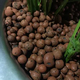 Biovita Blumenerde 5 l